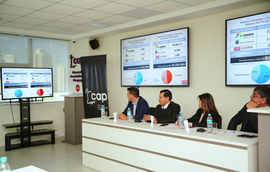 Sector eléctrico paraguayo encara nuevos desafíos ante crecimiento de la demanda