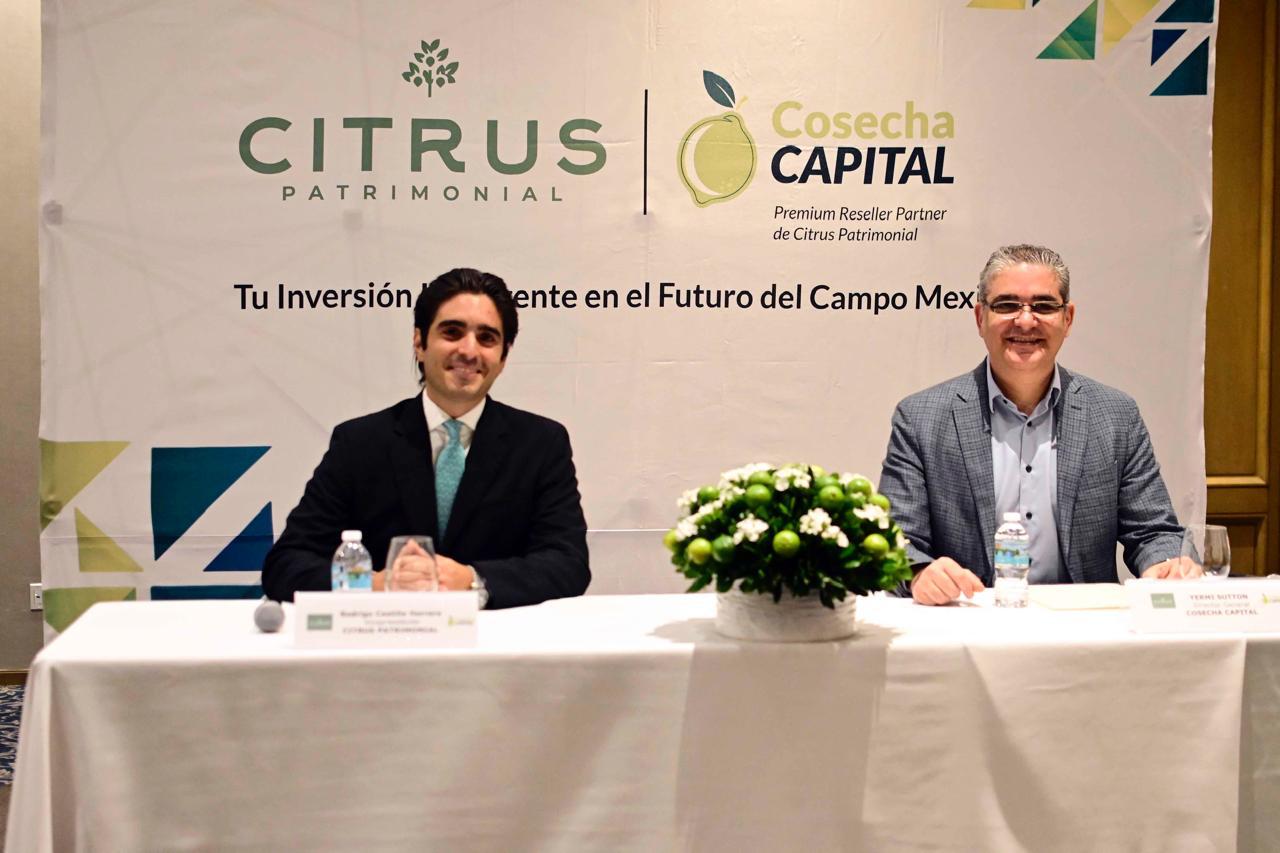 “Nacimos con la misión de ayudar a los inversionistas a maximizar sus rendimientos”