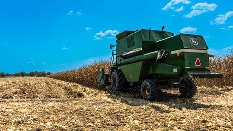 Producción de cereales, leguminosas y soya no alcanza para cubrir la demanda nacional