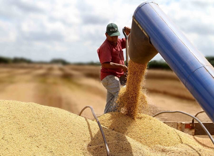 El desafío de la caída sojera y el nuevo escrutinio europeo