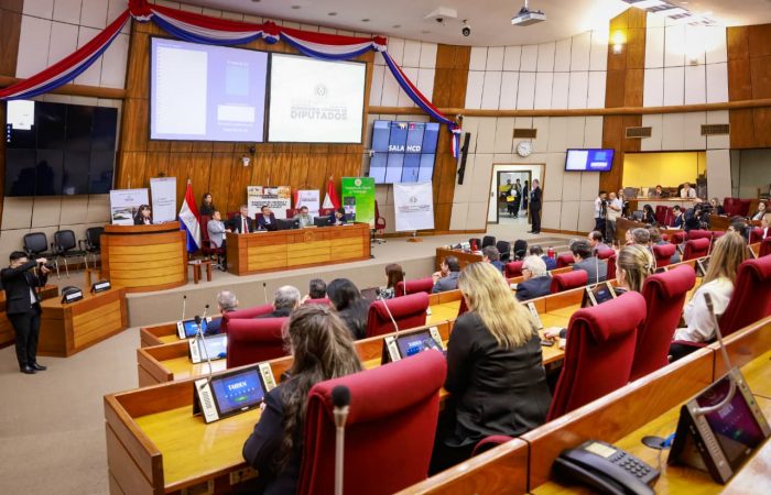 Ejecutivo defiende creación de ministerio con cinco áreas clave