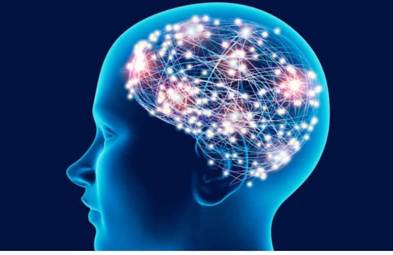 Liderazgo sostenido por la neurociencia: Un enfoque de presencia ejecutiva
