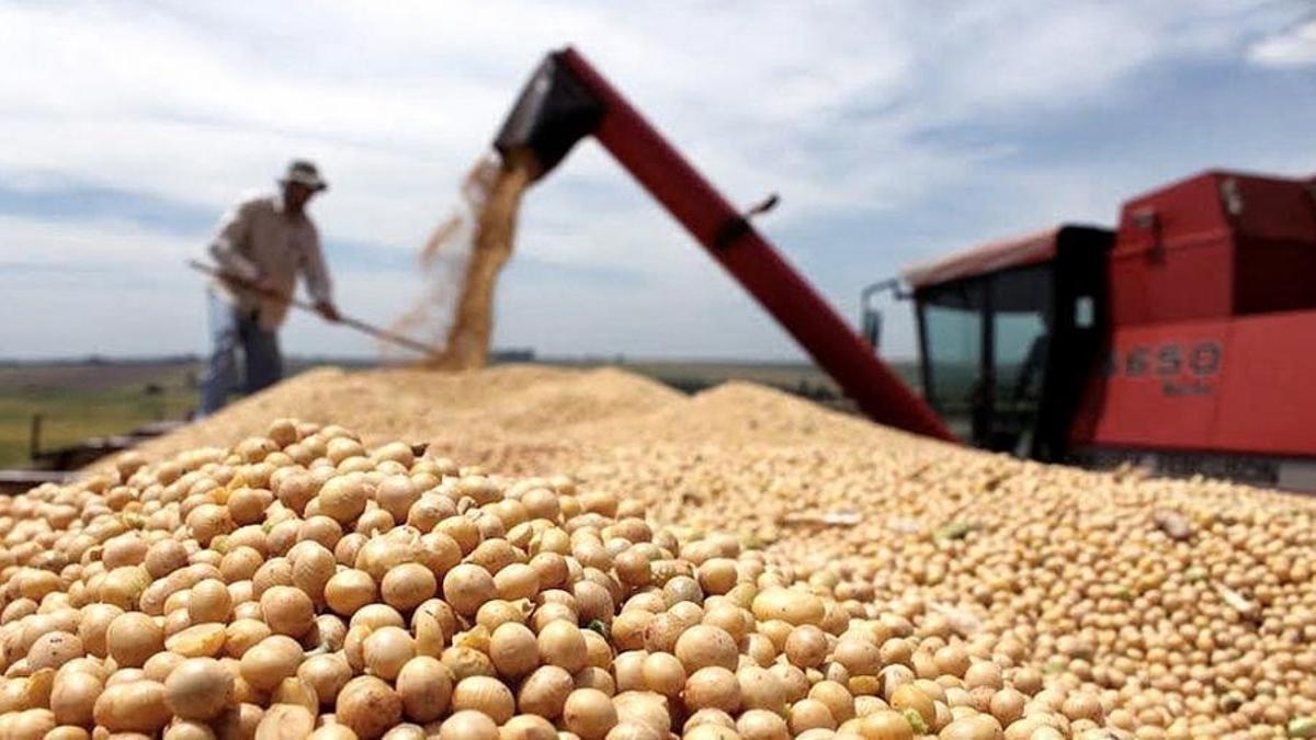 Baja cotización y menor producción siguen impactando en las exportaciones de soja