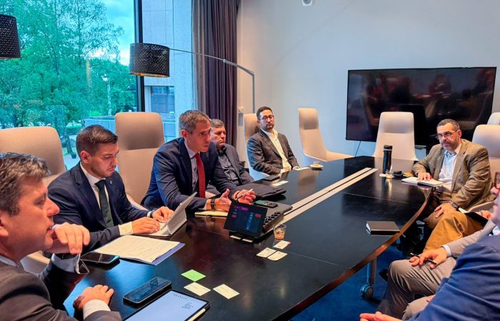 Paraguay explora alianzas con Finlandia para escalar su industria forestal y energética