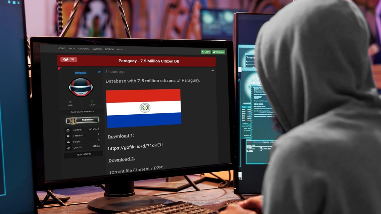 Vulnerabilidad cibernética