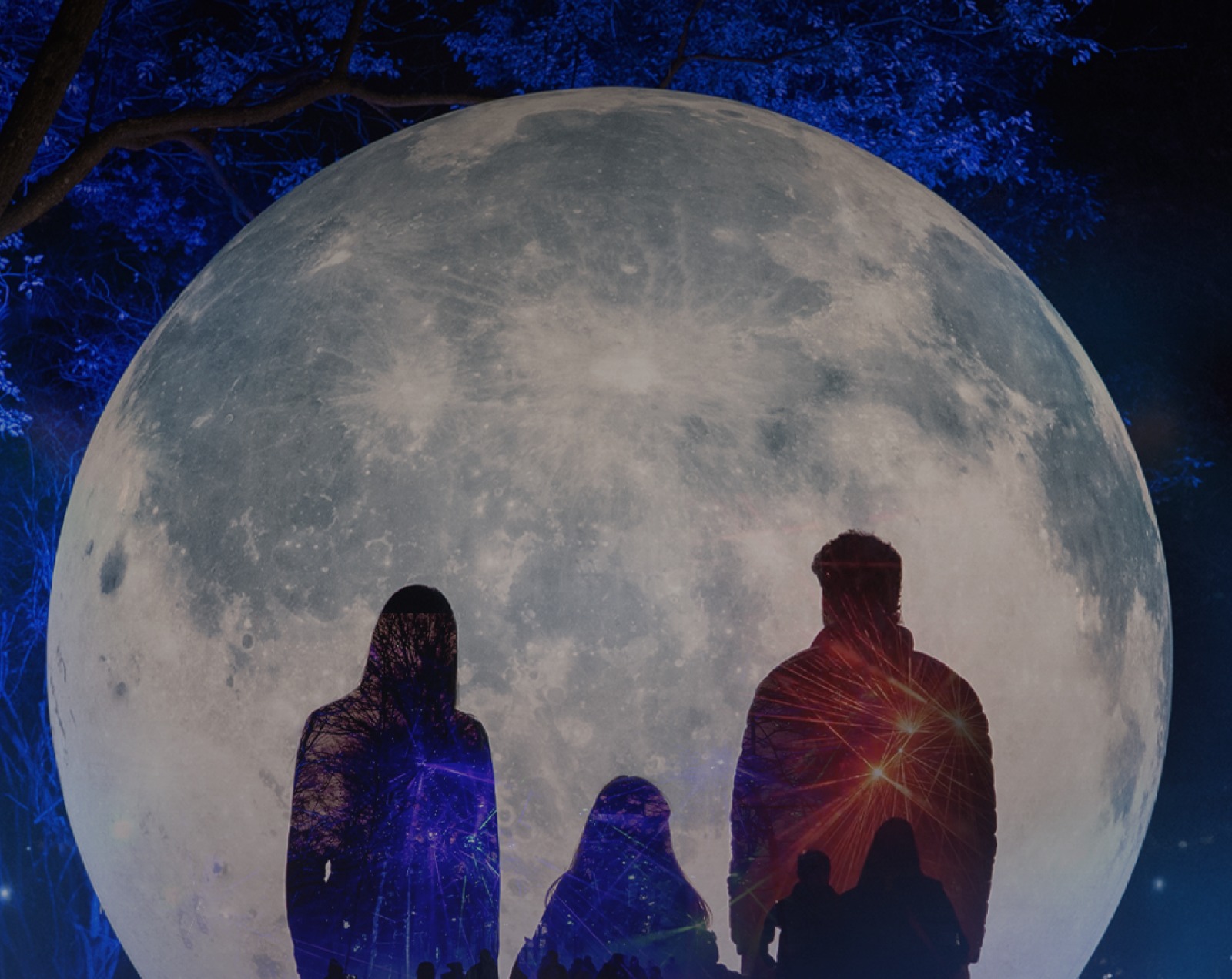 Aura Lumina transforma el Parque Seminario en un bosque de luces inmersivo