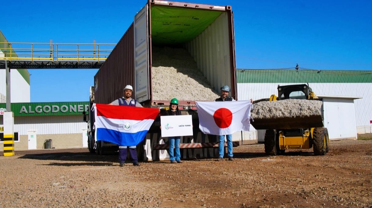 Paraguay marca un hito con la primera exportación de algodón a Japón