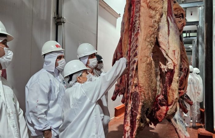 En un año, frigoríficos locales registraron caída del 25,5% en faena de bovinos