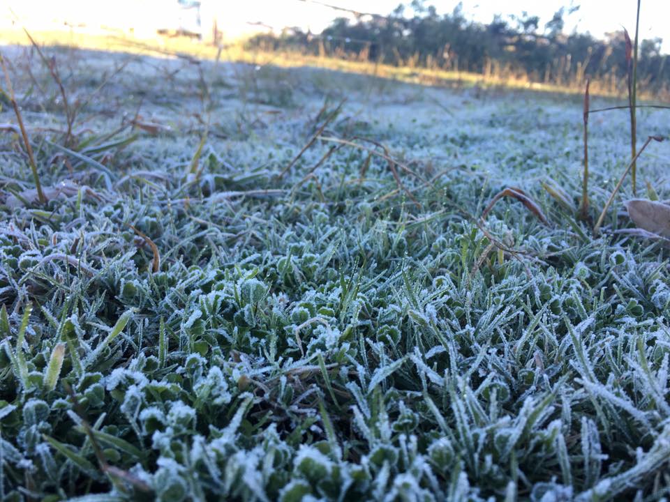 Heladas y déficit de lluvias marcan la campaña de invierno 