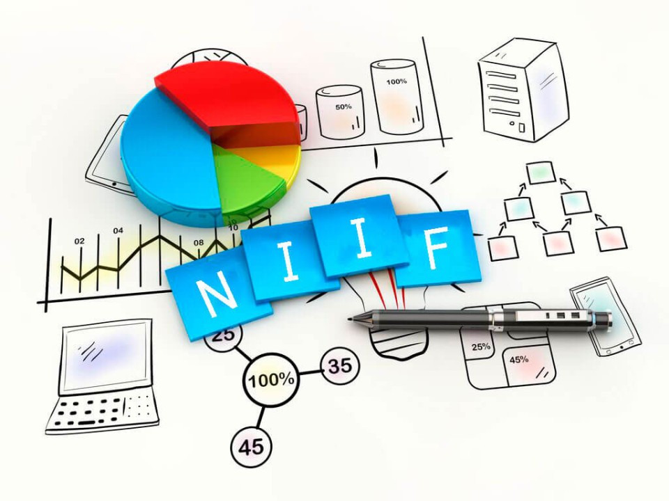 ¿Qué se entiende por ingresos bajo las NIIF?