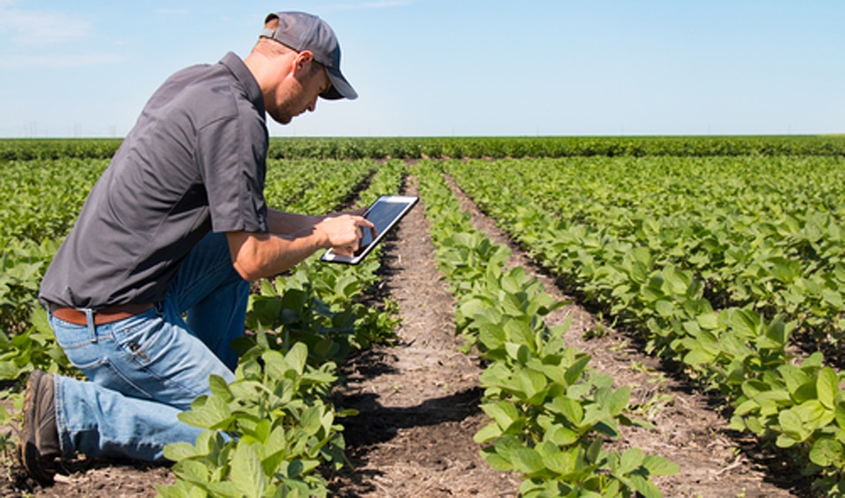 América Latina crece en las patentes para tecnologías agrícolas