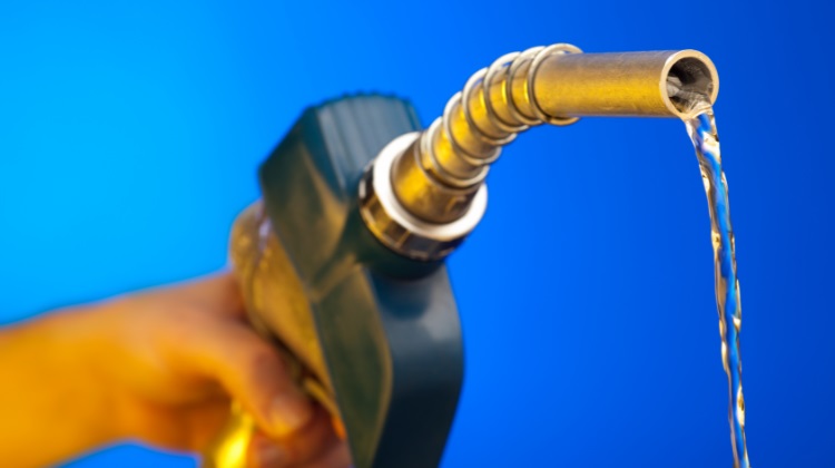 Shell y Petropar lideran ventas en gasoil y nafta a julio de este año