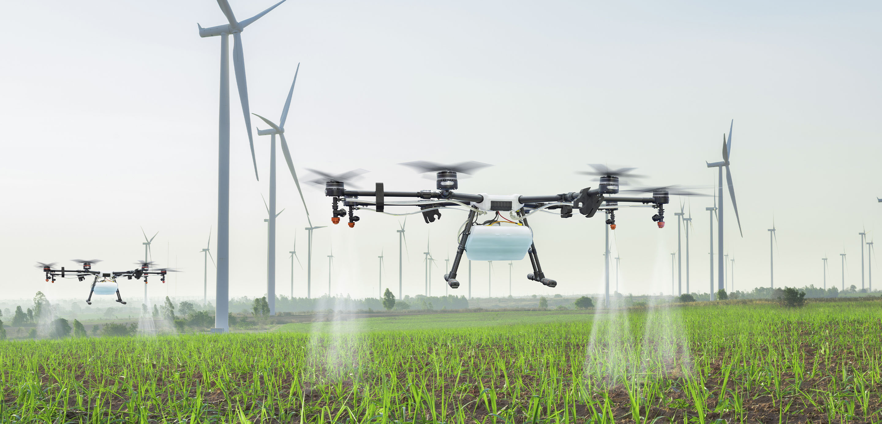 Agroindustria global: las tendencias que marcarán el futuro de la producción de alimentos
